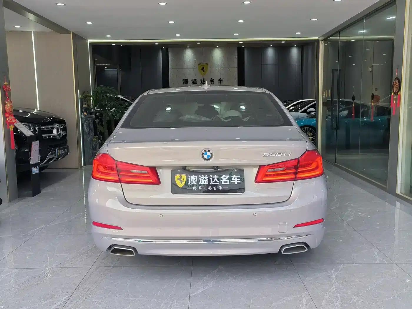 BMW 5 Series 2020 530Li Leading Luxury Package — миниатюра 4