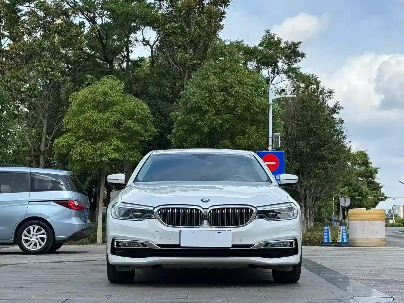 2018 BMW 5 Series Facelift 530Li Luxury Package — миниатюра 2