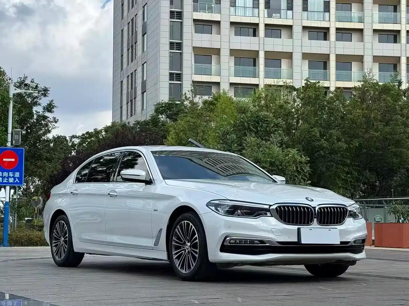 2018 BMW 5 Series Facelift 530Li Luxury Package — миниатюра 3