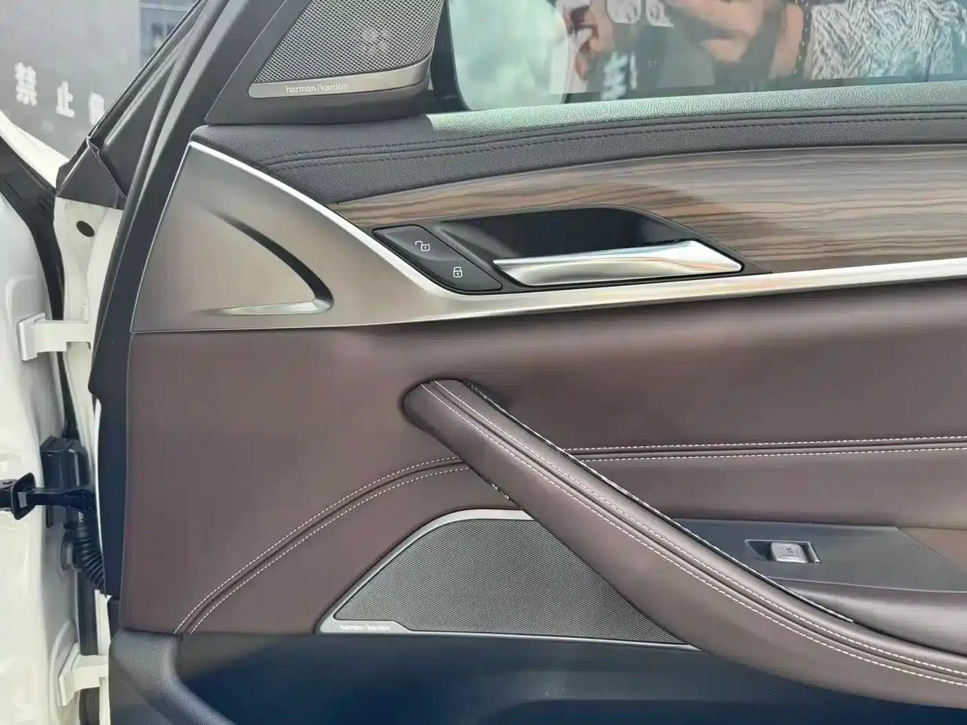 2018 BMW 5 Series Facelift 530Li Luxury Package — миниатюра 24