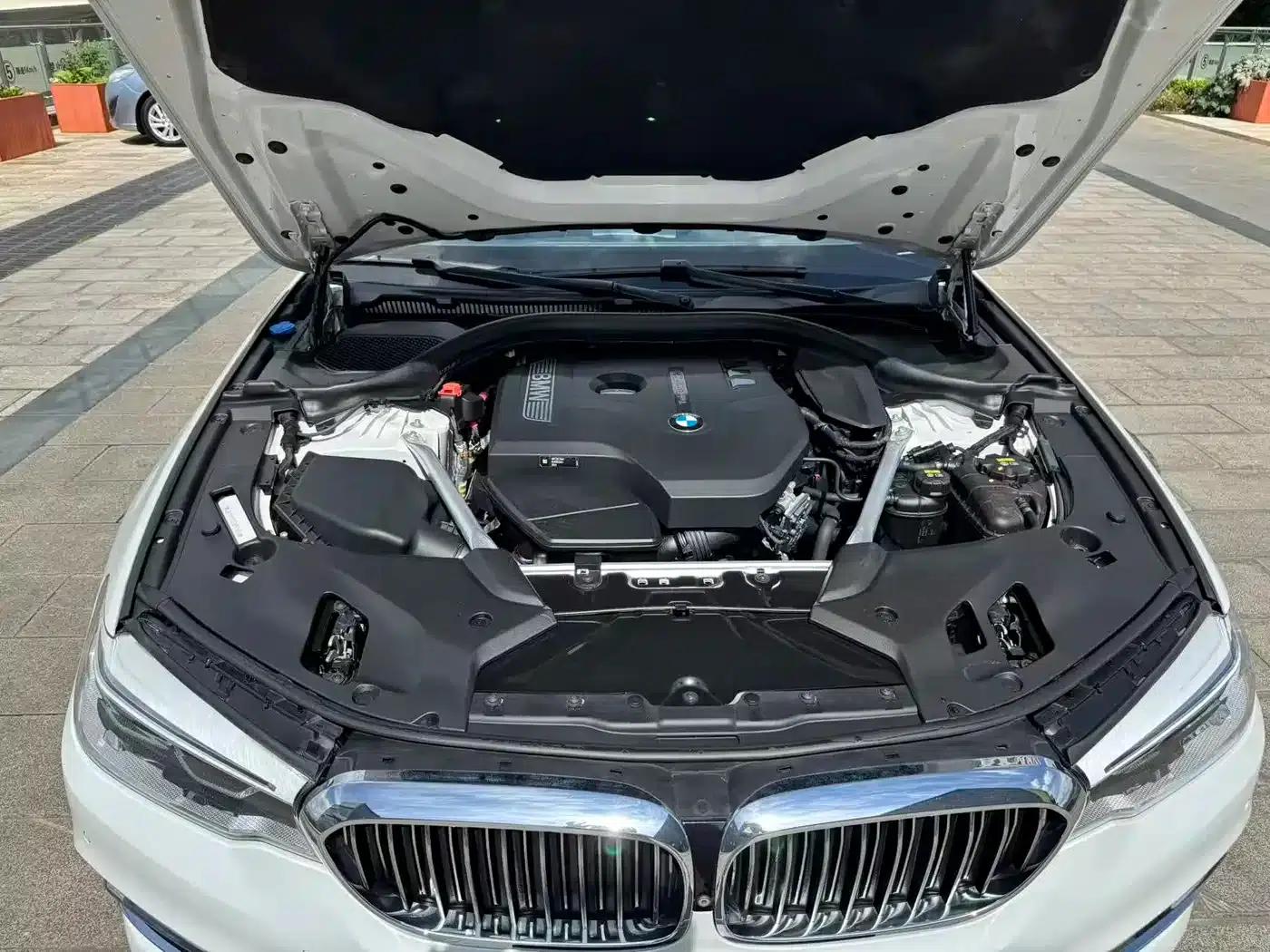 2018 BMW 5 Series Facelift 530Li Luxury Package — миниатюра 32