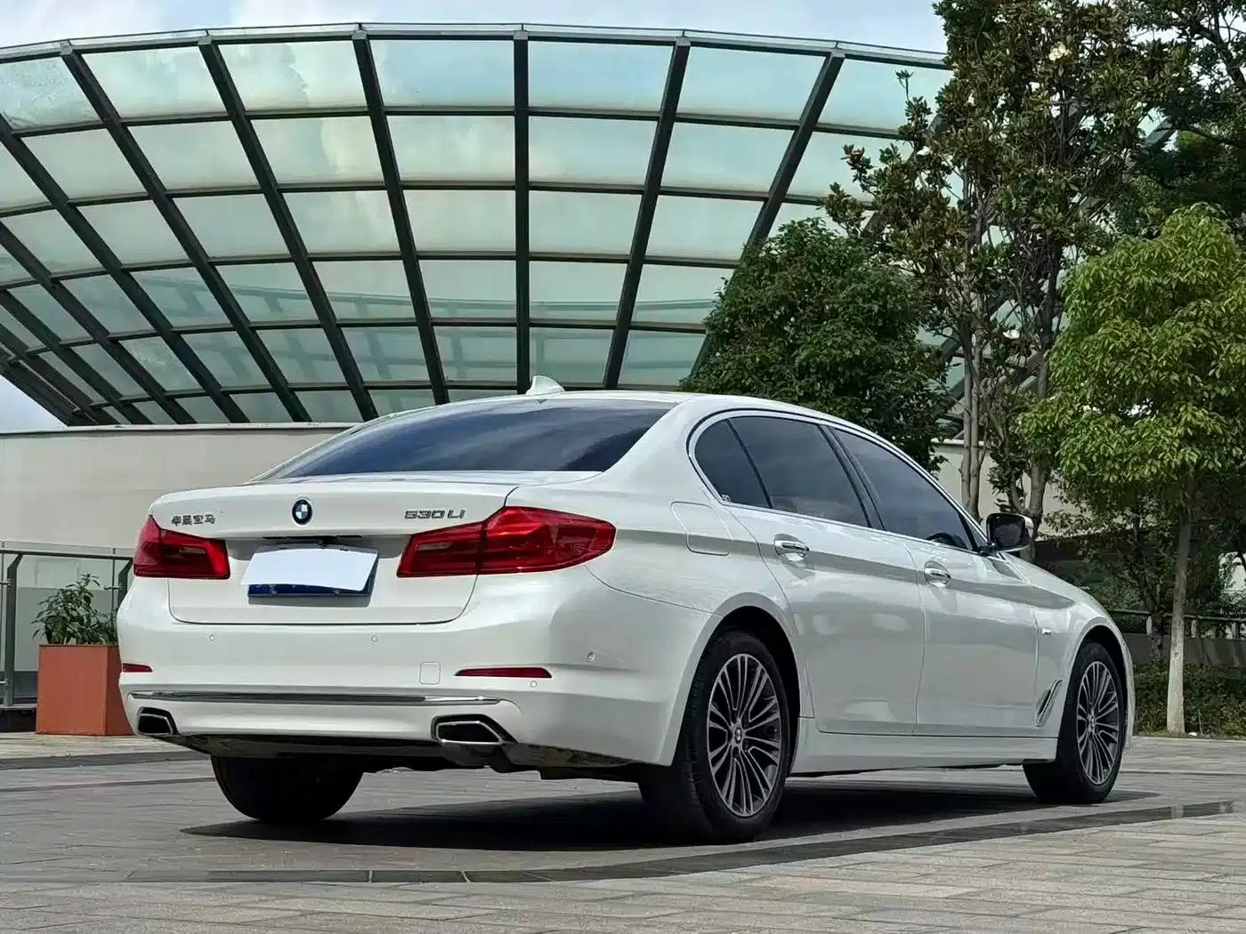 2018 BMW 5 Series Facelift 530Li Luxury Package — миниатюра 7