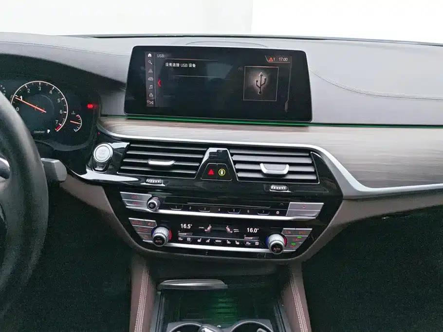 BMW 5 Series 2019 530Li Luxury Package — миниатюра 13