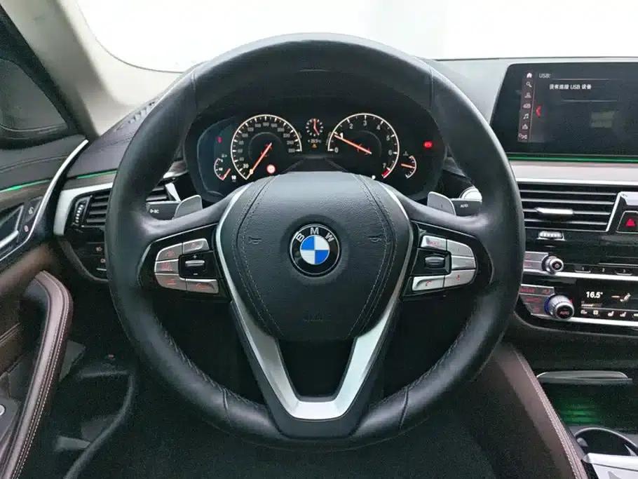 BMW 5 Series 2019 530Li Luxury Package — миниатюра 15
