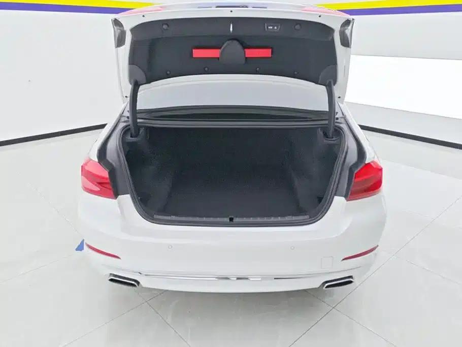BMW 5 Series 2019 530Li Luxury Package — миниатюра 4