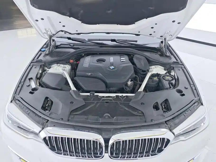 BMW 5 Series 2019 530Li Luxury Package — миниатюра 10