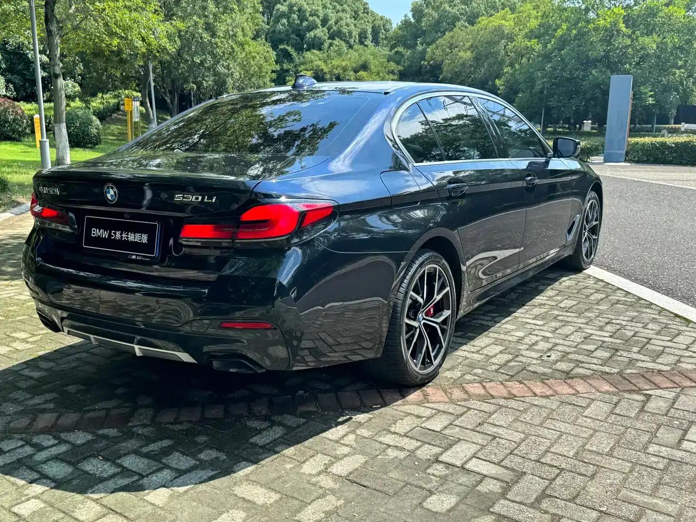 2023 BMW 5 Series 530Li Luxury M Sport Package — миниатюра 6
