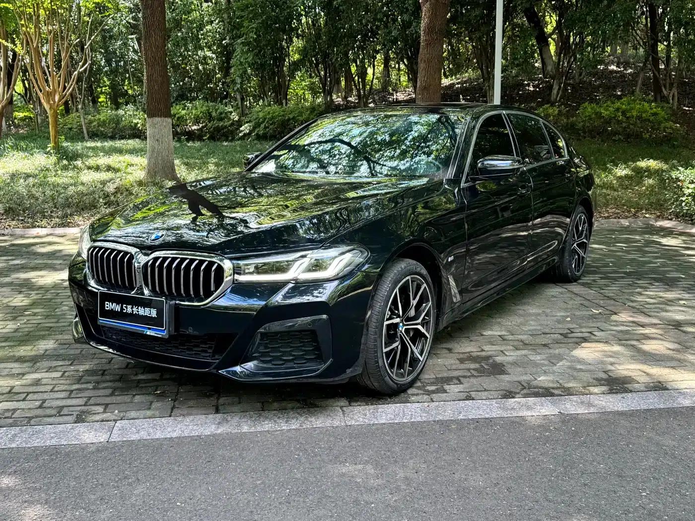 2022 BMW 5 Series 530Li Luxury M Sport Package — миниатюра 2
