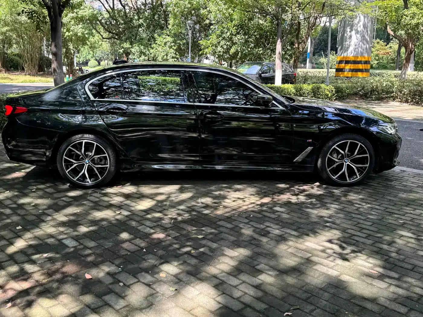 2022 BMW 5 Series 530Li Luxury M Sport Package — миниатюра 7