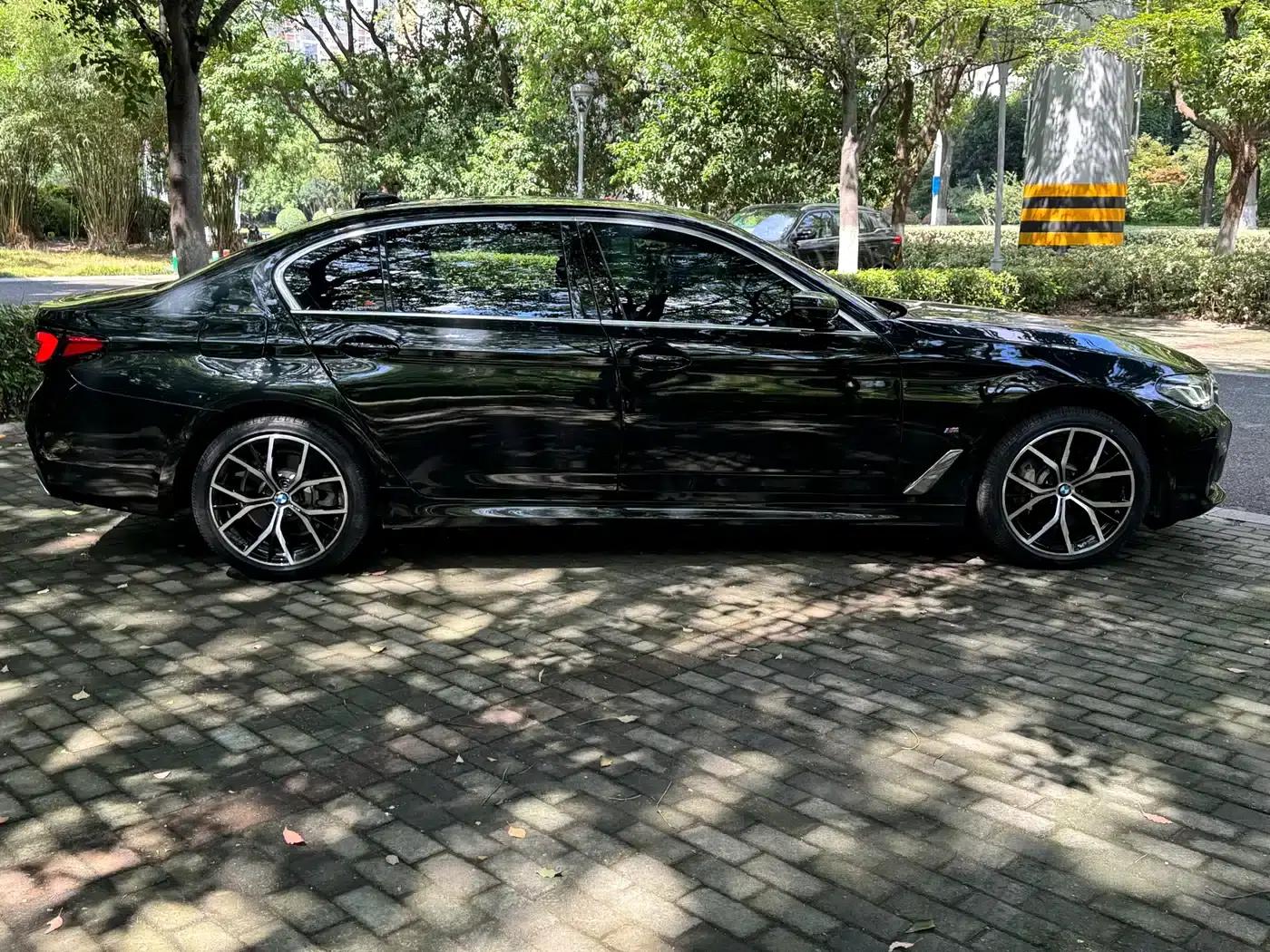 2022 BMW 5 Series 530Li Luxury M Sport Package — миниатюра 8