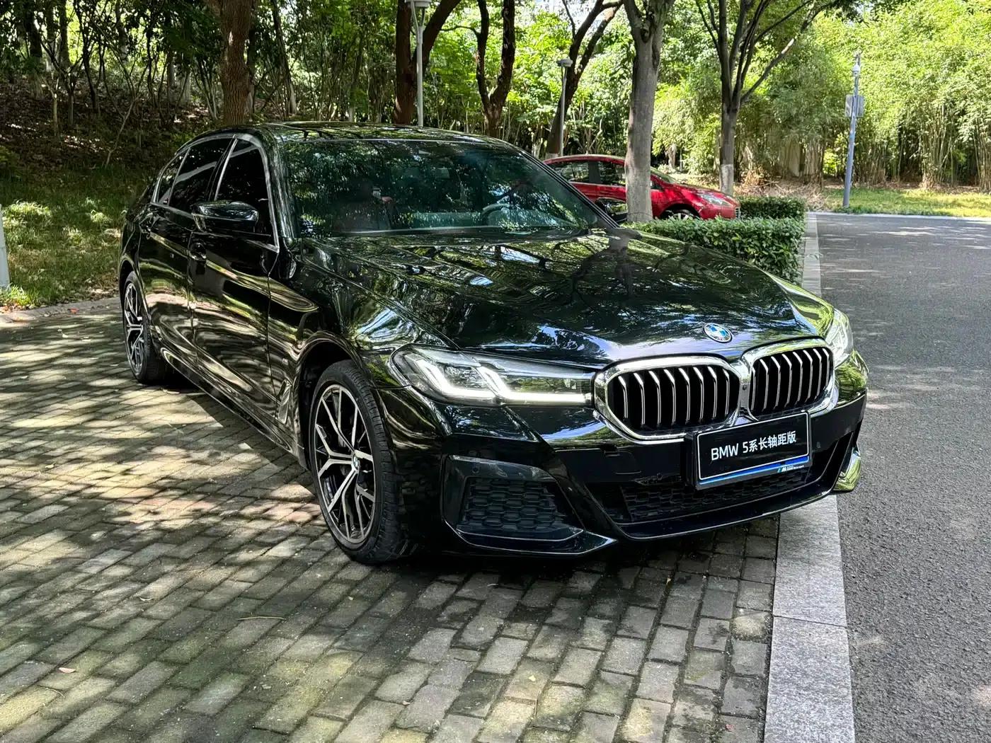 2022 BMW 5 Series 530Li Luxury M Sport Package — миниатюра 9