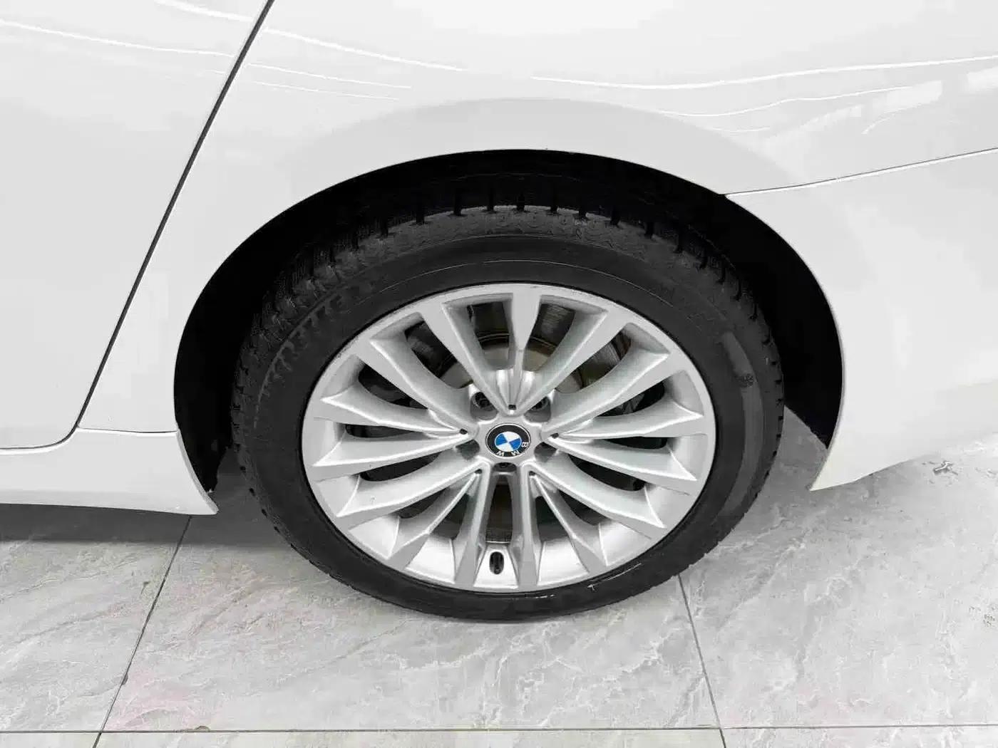2018 BMW 5 Series 525Li Luxury Package — миниатюра 22