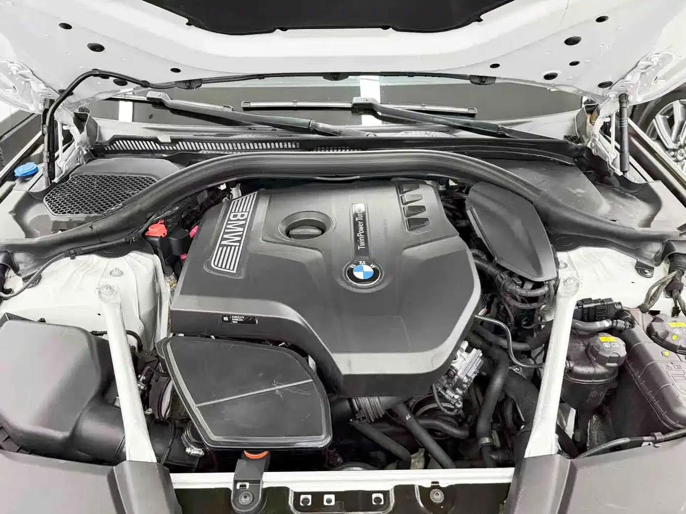 2018 BMW 5 Series 525Li Luxury Package — миниатюра 23