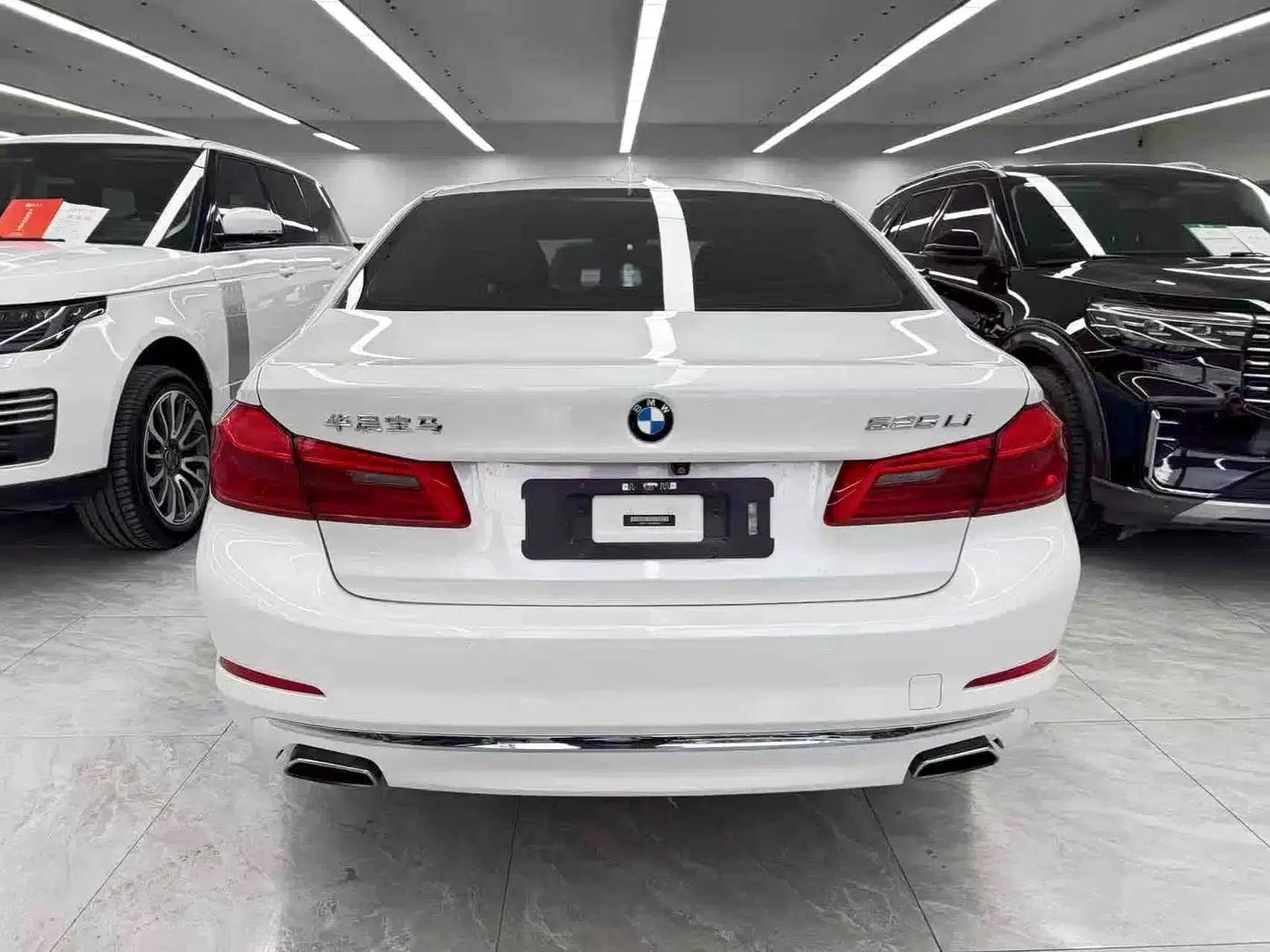 2018 BMW 5 Series 525Li Luxury Package — миниатюра 5