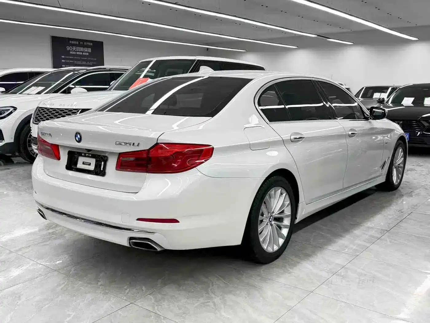 2018 BMW 5 Series 525Li Luxury Package — миниатюра 6