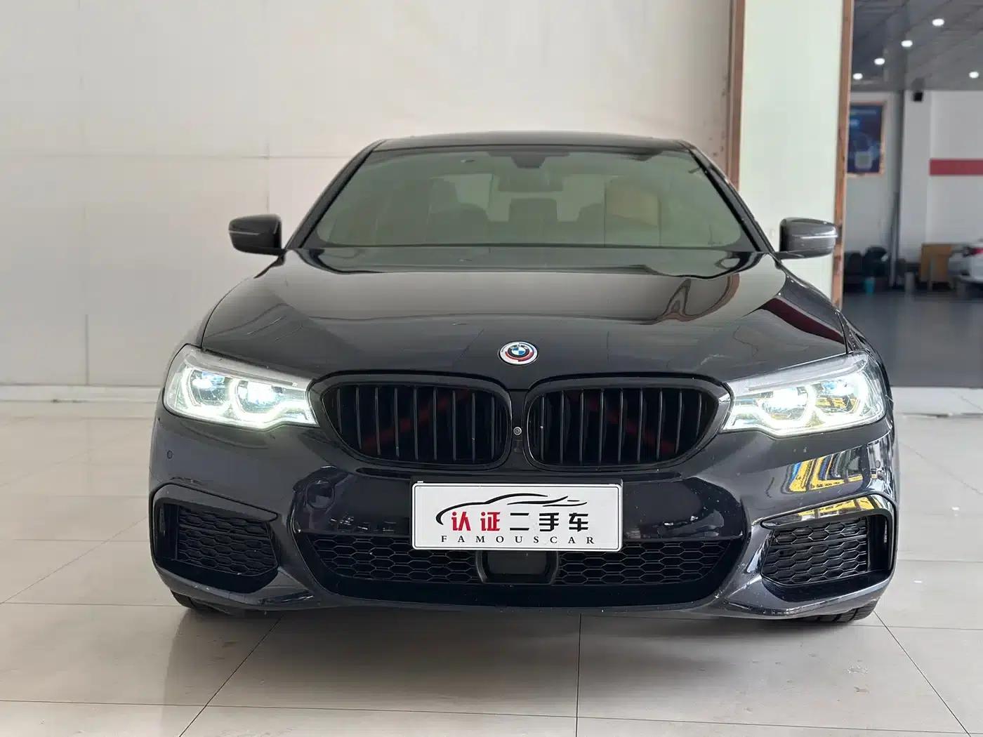 2020 BMW 5 Series 530Li Luxury M Sport Package — миниатюра 2