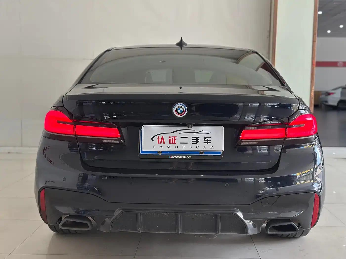 2020 BMW 5 Series 530Li Luxury M Sport Package — миниатюра 19