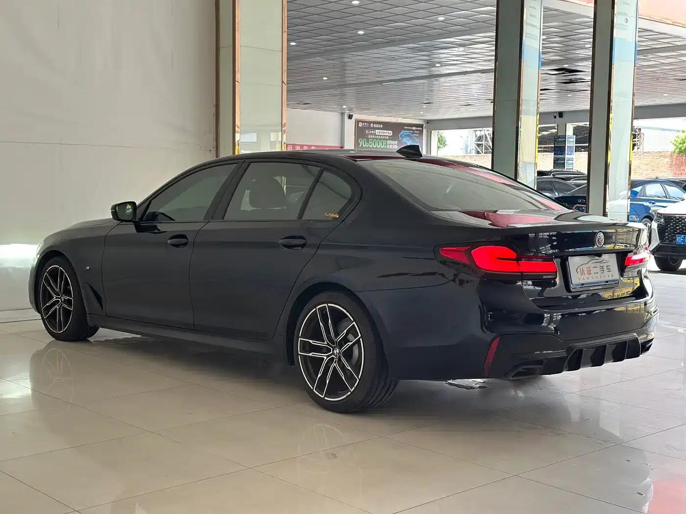 2020 BMW 5 Series 530Li Luxury M Sport Package — миниатюра 20