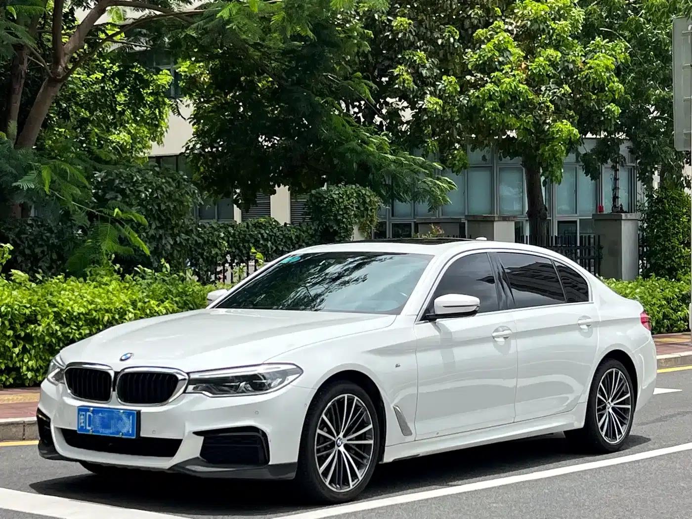 2020 BMW 5 Series 530Li Leading Edition M Sport Package — миниатюра 1