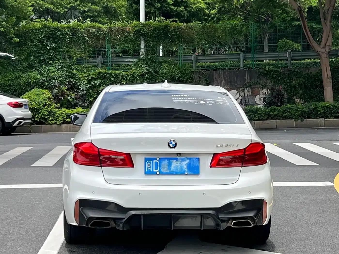 2020 BMW 5 Series 530Li Leading Edition M Sport Package — миниатюра 9