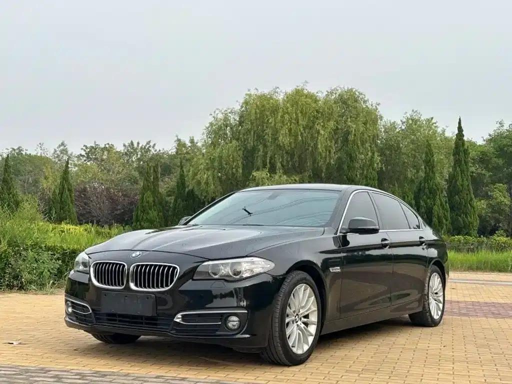 2014 BMW 5 Series 525Li Luxury Design Package — миниатюра 1