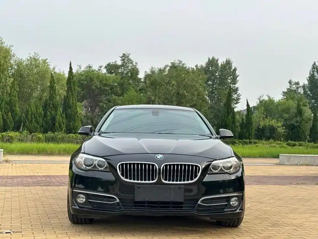 2014 BMW 5 Series 525Li Luxury Design Package — миниатюра 2