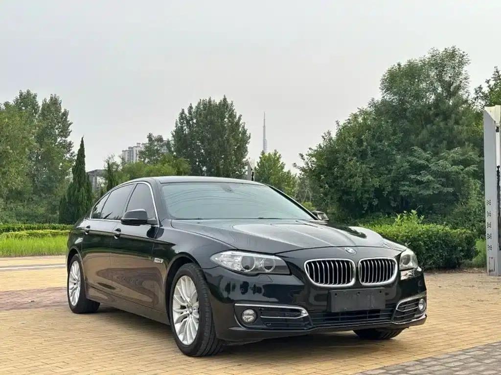2014 BMW 5 Series 525Li Luxury Design Package — миниатюра 3