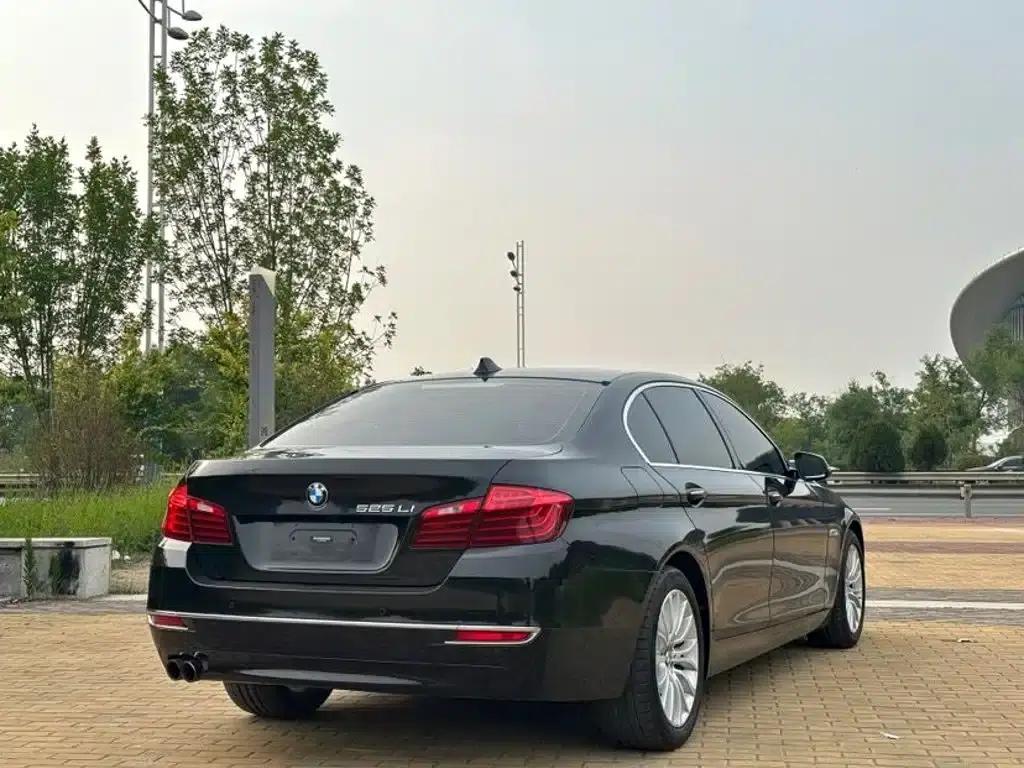 2014 BMW 5 Series 525Li Luxury Design Package — миниатюра 4