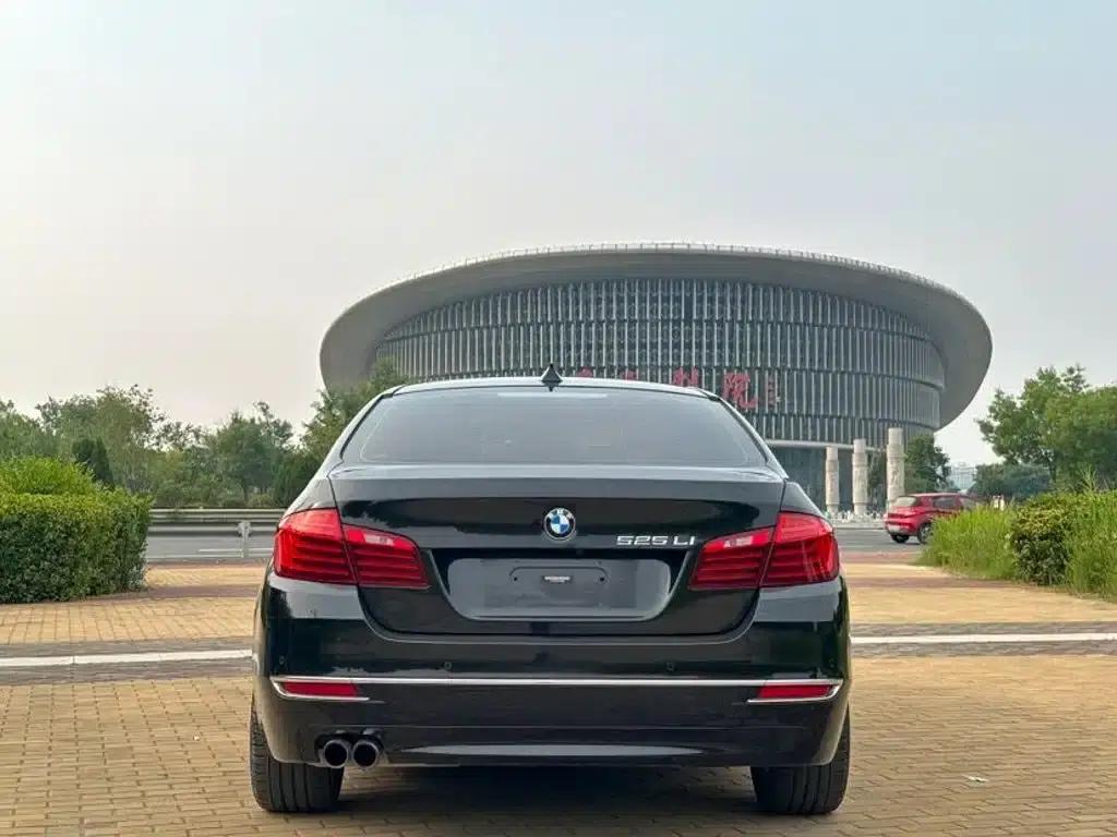 2014 BMW 5 Series 525Li Luxury Design Package — миниатюра 5