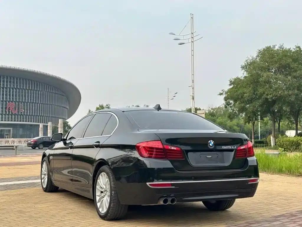 2014 BMW 5 Series 525Li Luxury Design Package — миниатюра 6