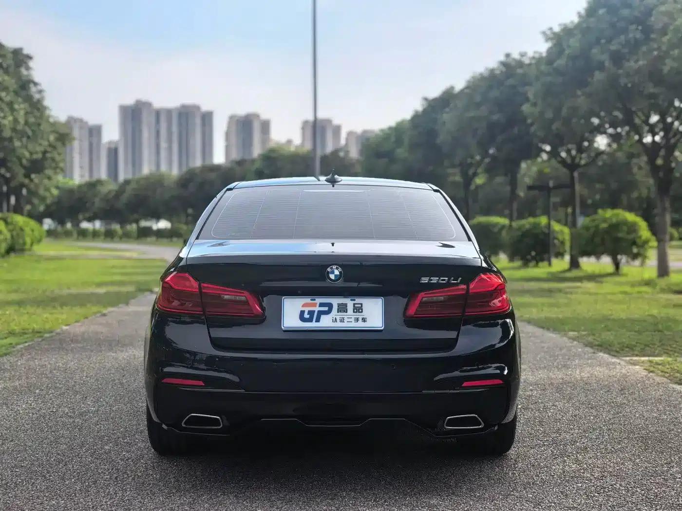 2020 BMW 5 Series 530Li Executive M Sport Package — миниатюра 5