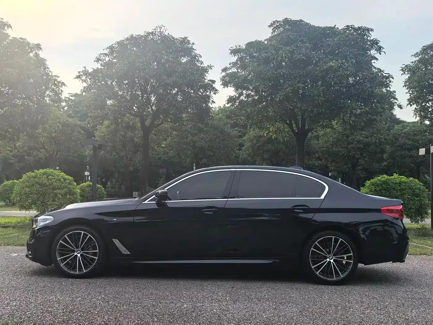 2020 BMW 5 Series 530Li Executive M Sport Package — миниатюра 7