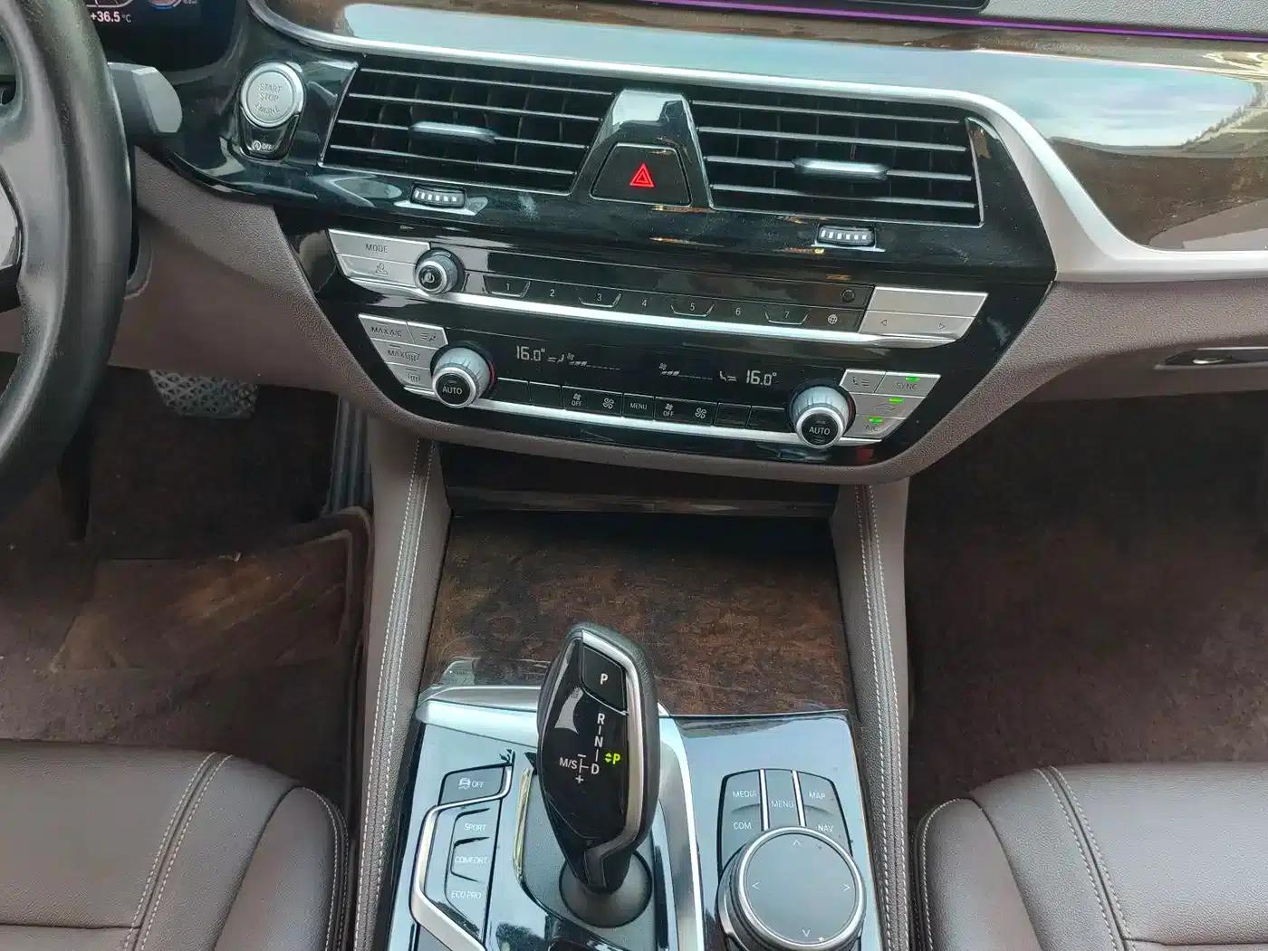 2020 BMW 5 Series 525Li Luxury Package — миниатюра 14