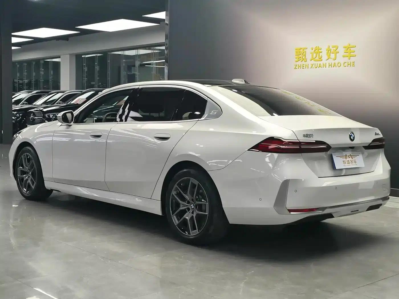 2025 BMW 5 Series 530Li Leading Luxury Package — миниатюра 12