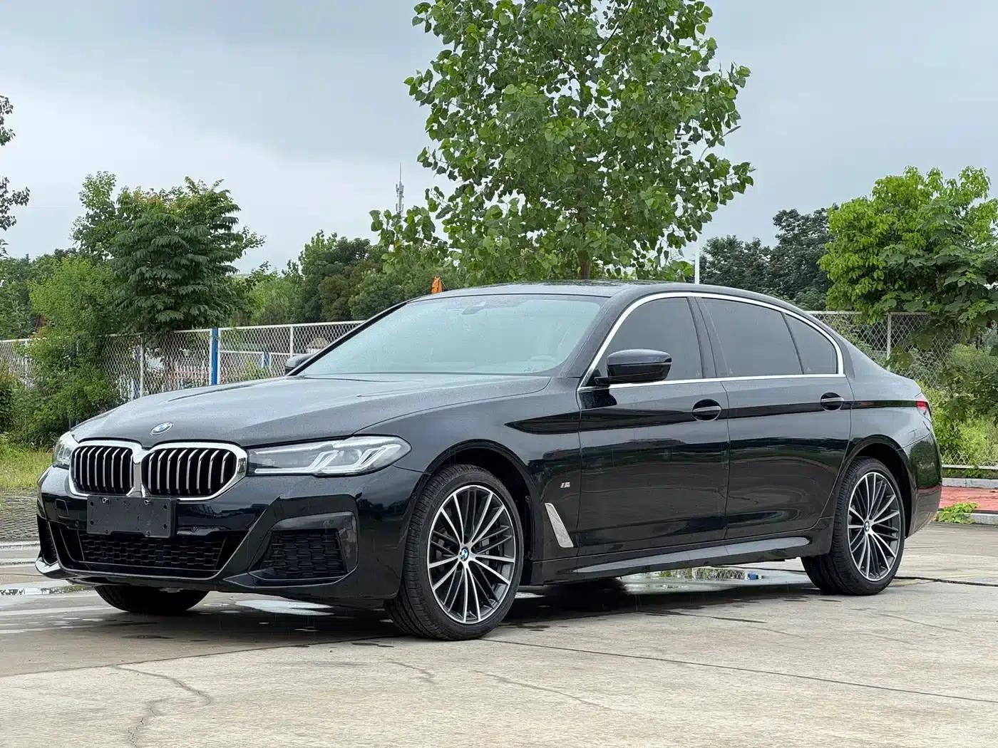 2021 BMW 5 Series Facelift 530Li Leading Edition M Sport Package — миниатюра 1