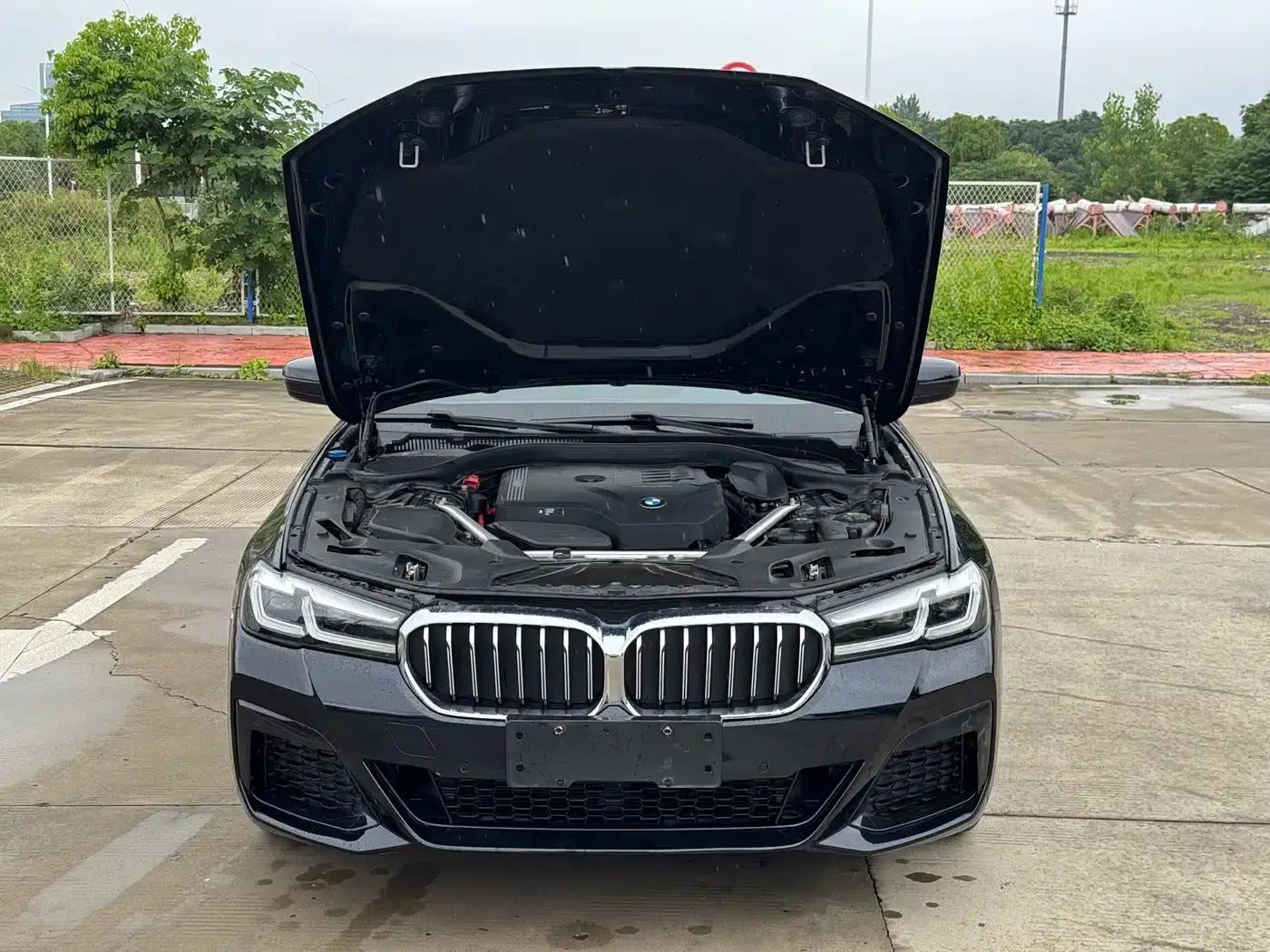 2021 BMW 5 Series Facelift 530Li Leading Edition M Sport Package — миниатюра 8