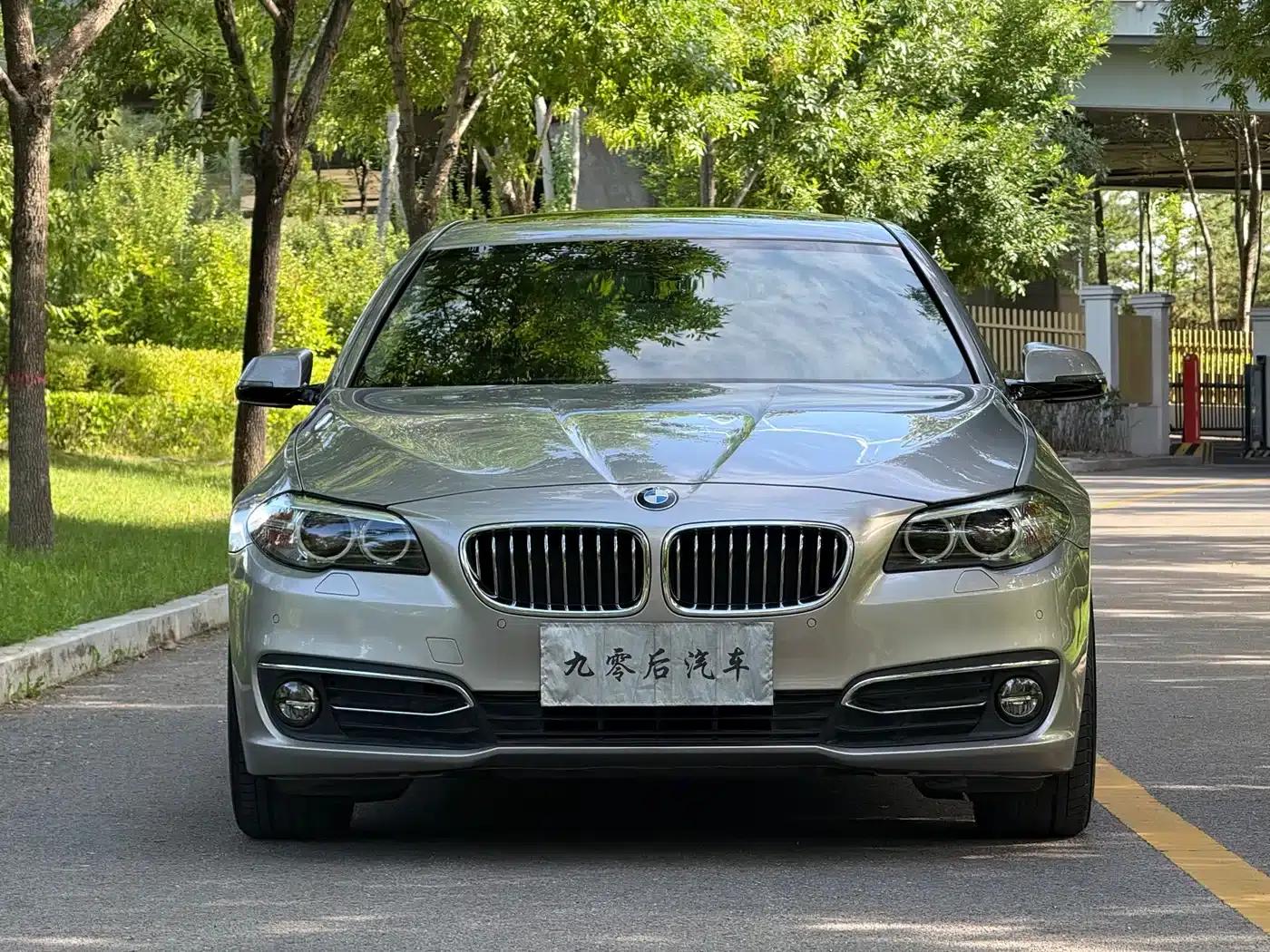 2017 BMW 5 Series 525Li Luxury Design Package — миниатюра 2