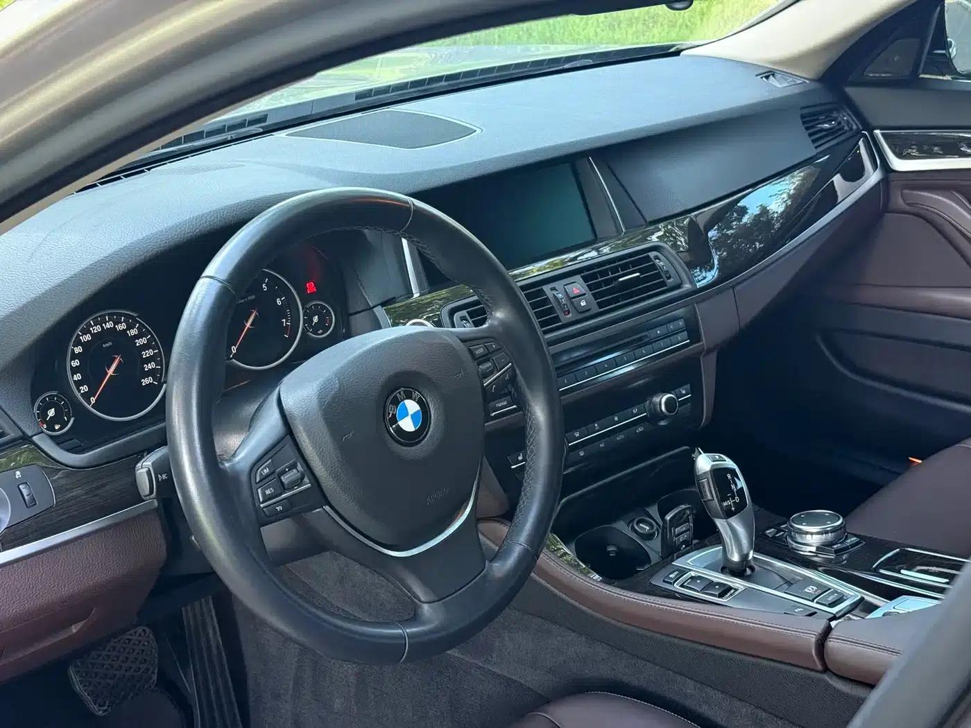 2017 BMW 5 Series 525Li Luxury Design Package — миниатюра 16