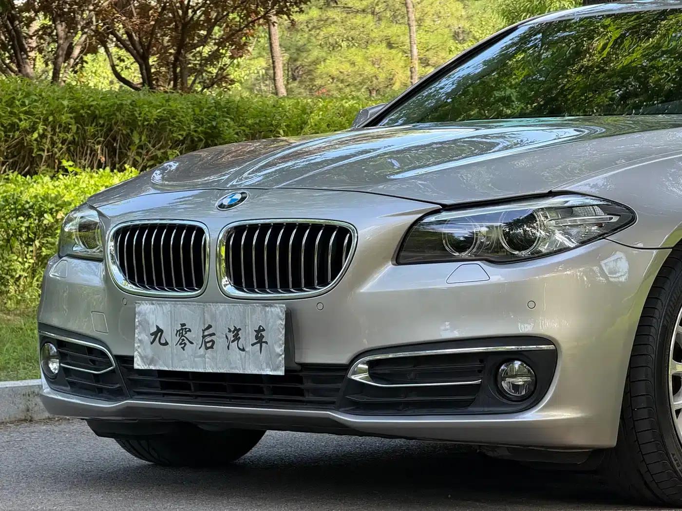 2017 BMW 5 Series 525Li Luxury Design Package — миниатюра 6