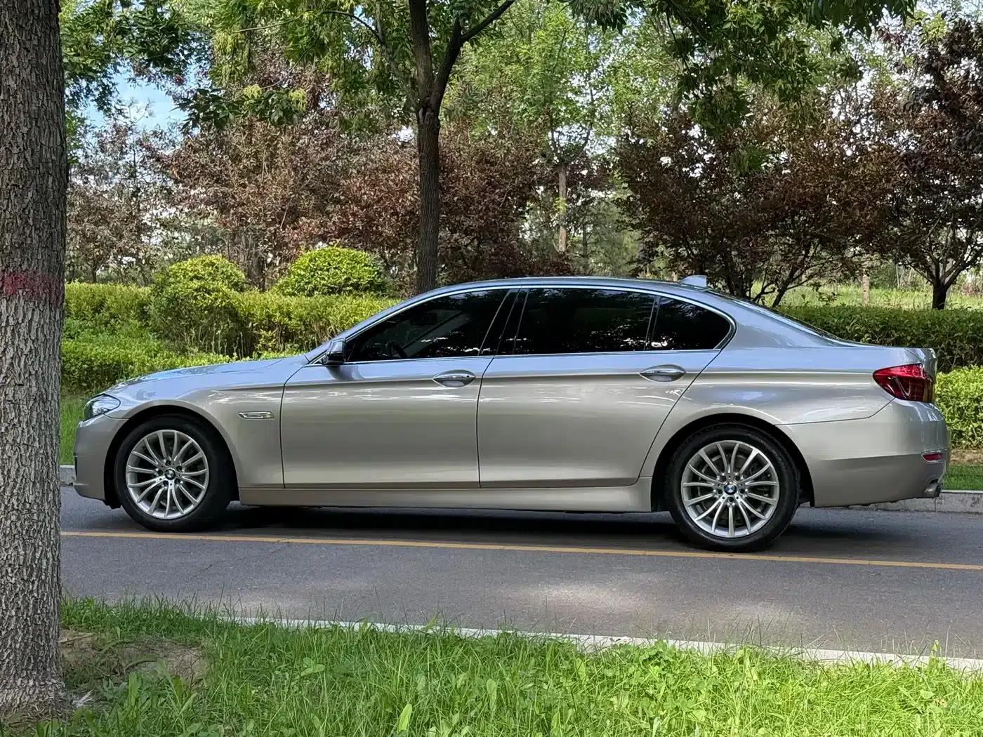 2017 BMW 5 Series 525Li Luxury Design Package — миниатюра 8