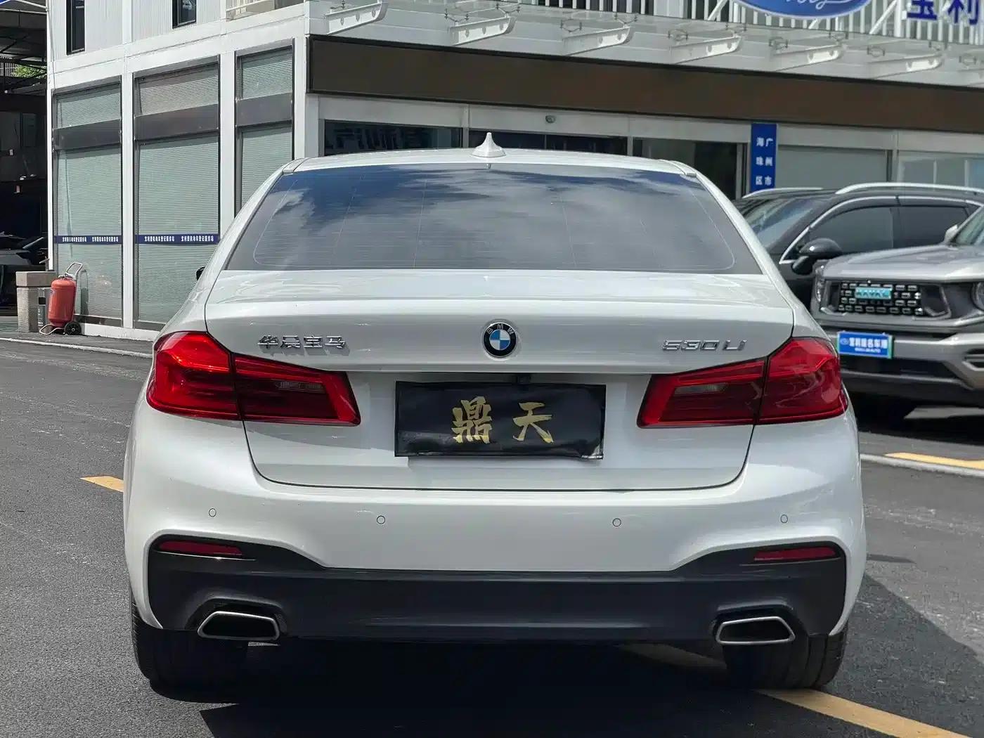 2018 BMW 5 Series 530Li Luxury M Sport Package — миниатюра 5
