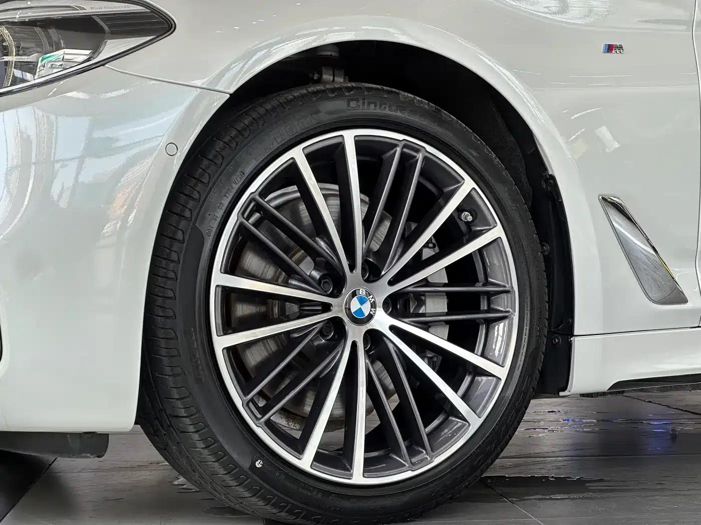 2020 BMW 5 Series 530Li Leading Edition M Sport Package — миниатюра 14