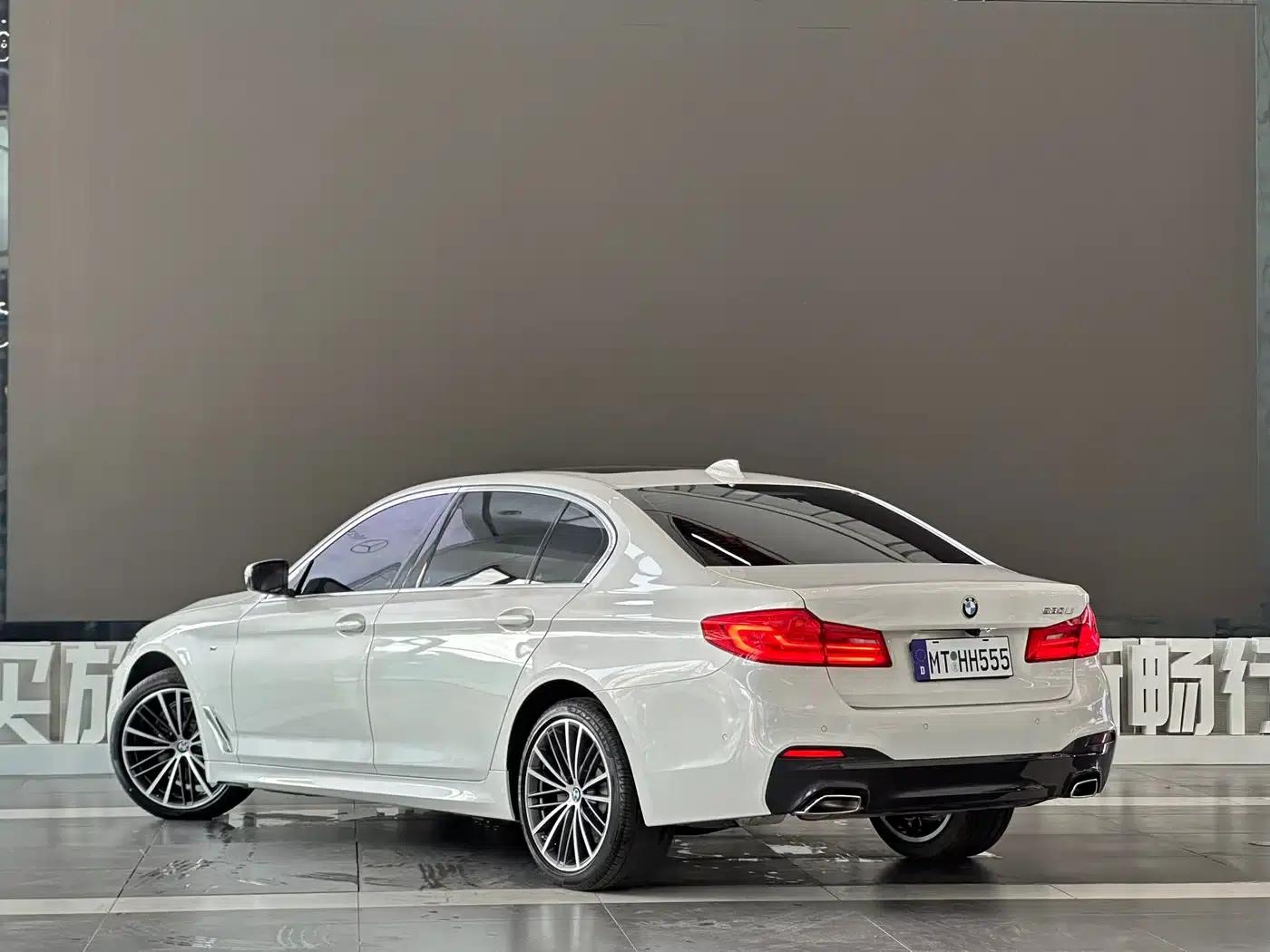 2020 BMW 5 Series 530Li Leading Edition M Sport Package — миниатюра 6