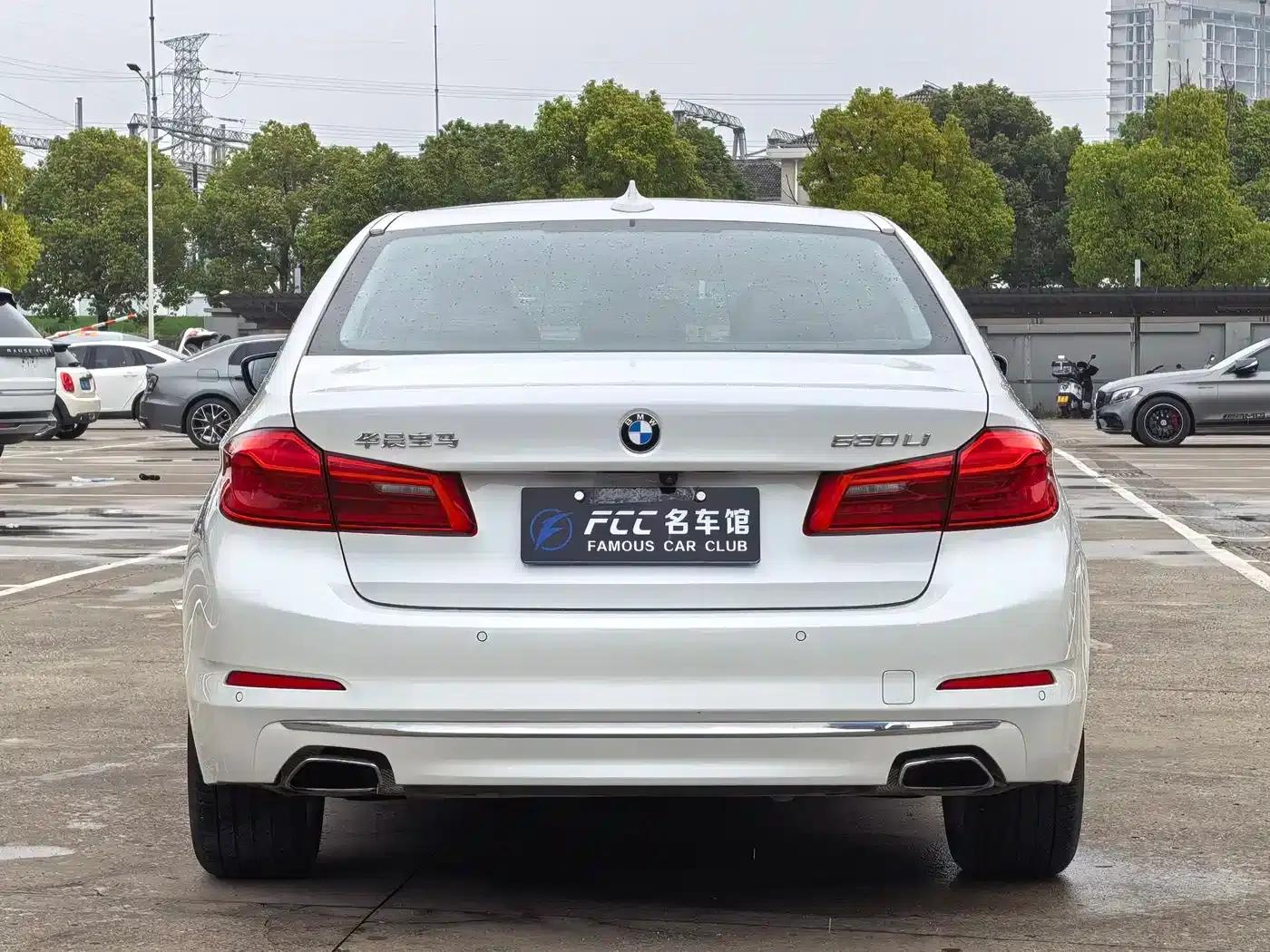 2018 BMW 5 Series Facelift 530Li Leading Luxury Package — миниатюра 4