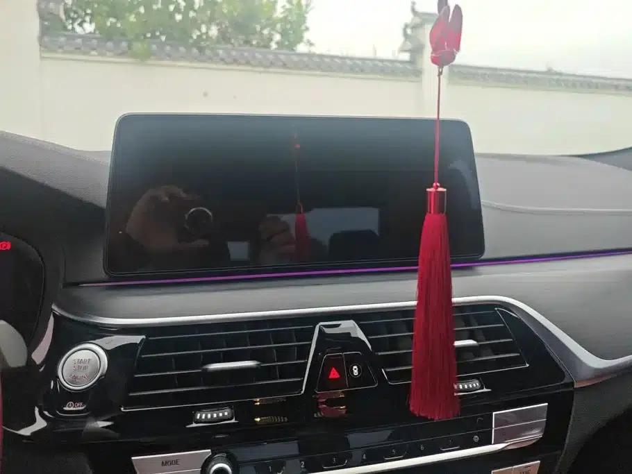 2023 BMW 5 Series Facelift 530Li Leading Edition M Sport Package — миниатюра 13