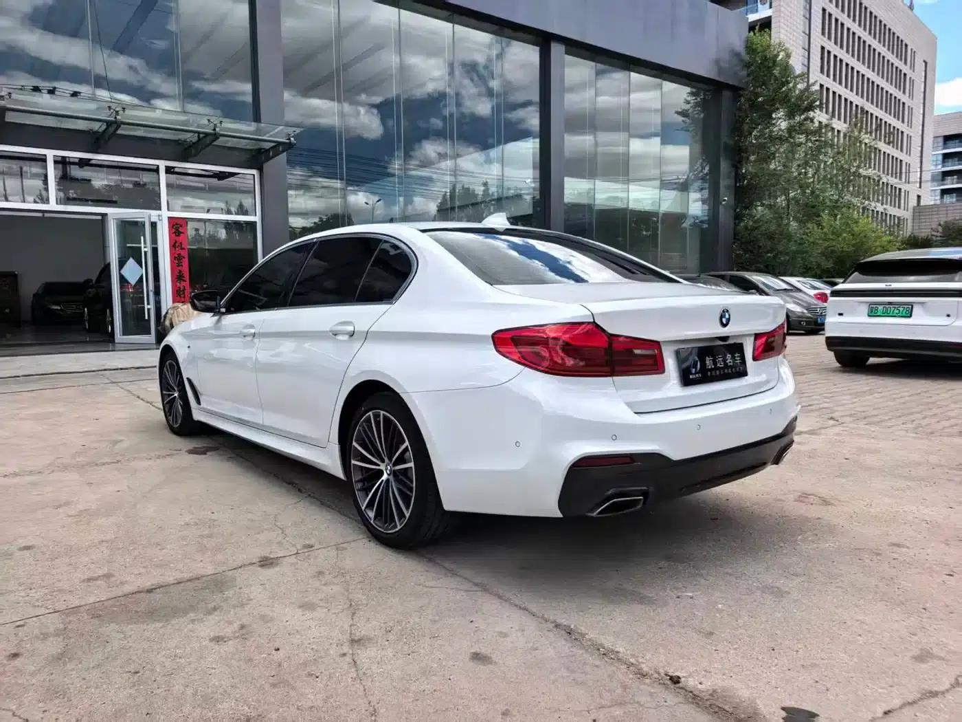 2020 BMW 5 Series 530Li Leading Edition M Sport Package — миниатюра 7