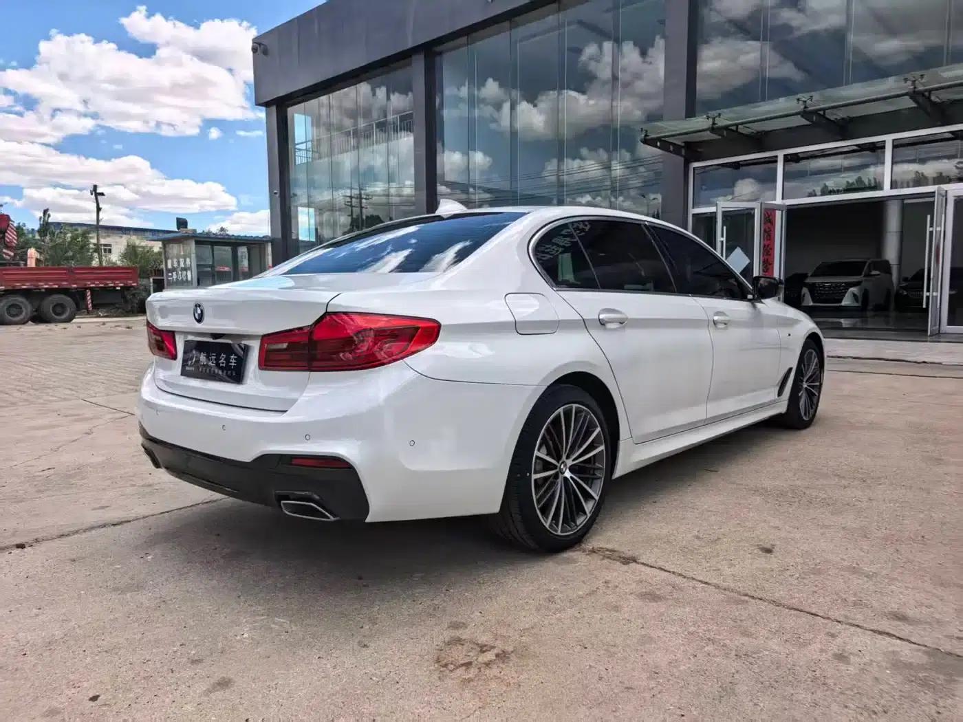 2020 BMW 5 Series 530Li Leading Edition M Sport Package — миниатюра 9