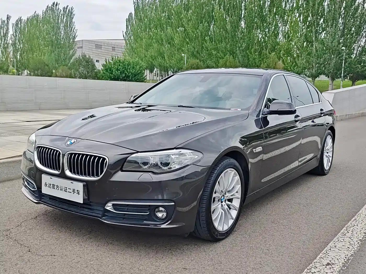 2014 BMW 5 Series 525Li Luxury Design Package — миниатюра 1