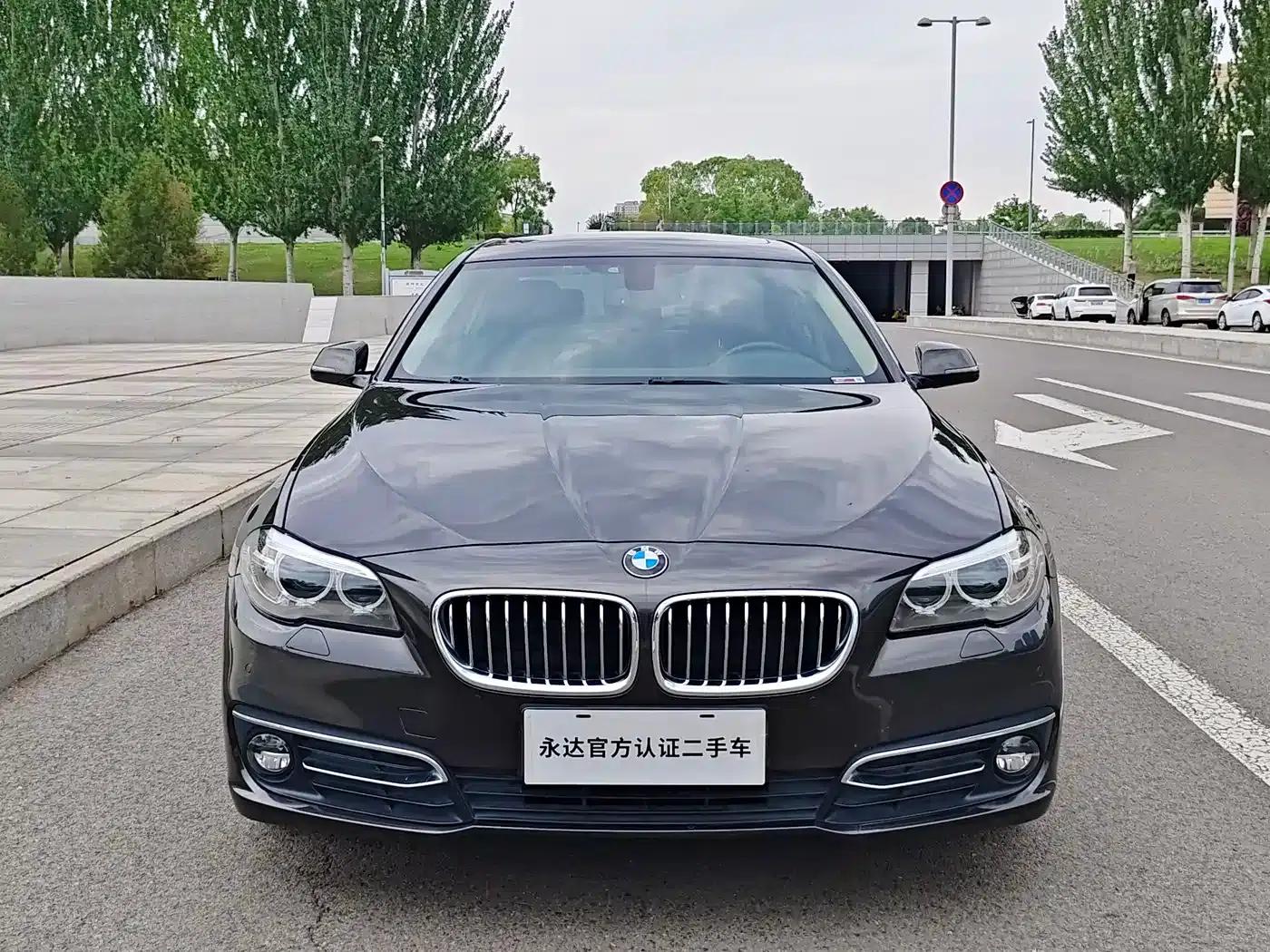 2014 BMW 5 Series 525Li Luxury Design Package — миниатюра 2