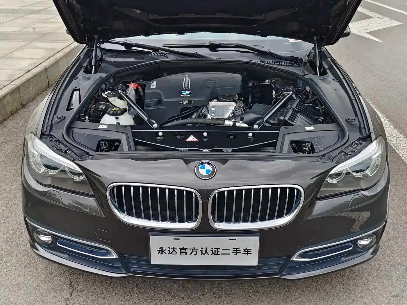 2014 BMW 5 Series 525Li Luxury Design Package — миниатюра 21